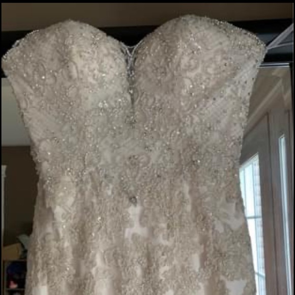 Beautiful Champagne Wedding Dress - Picture 7 of 9